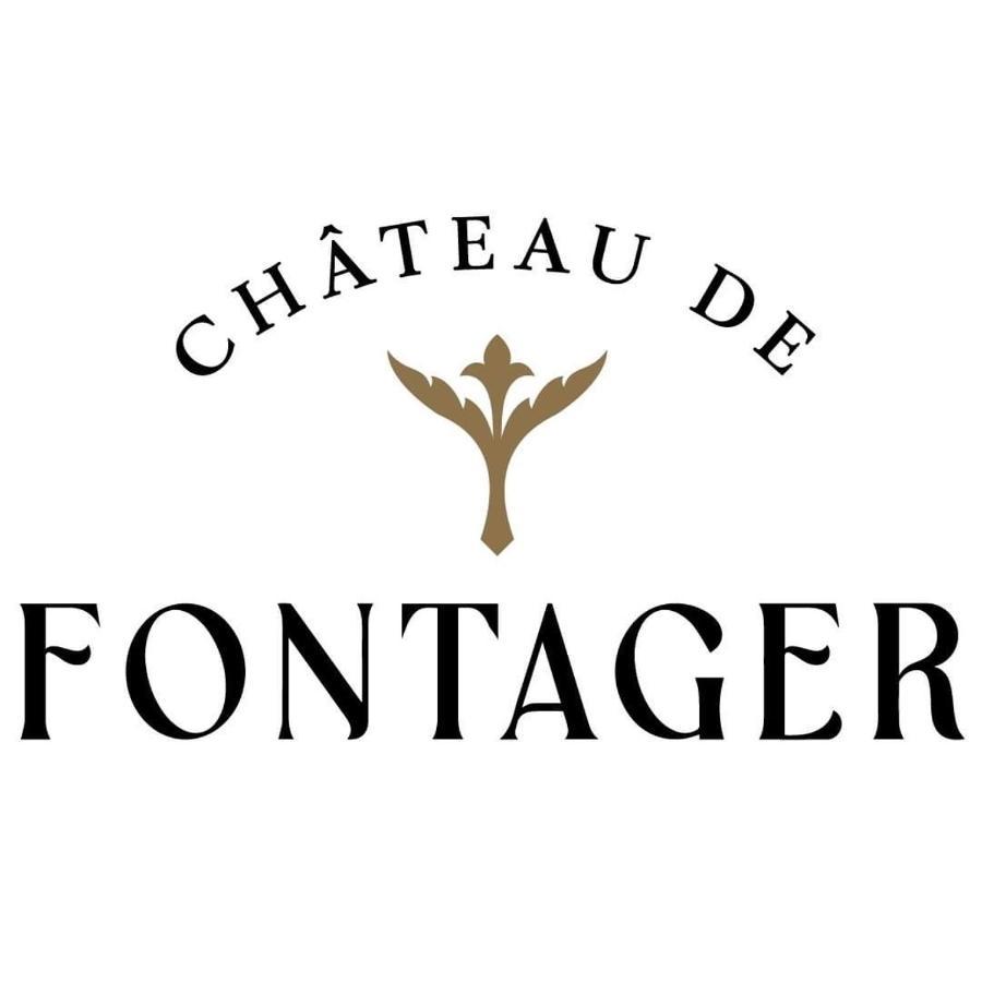 Hotel Chateau De Fontager Serves-sur-Rhône Exterior foto